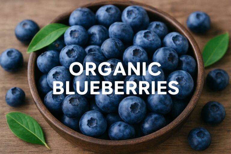 The Honest Goodness of Organic Blueberries: Tiny Berries, Big Benefits